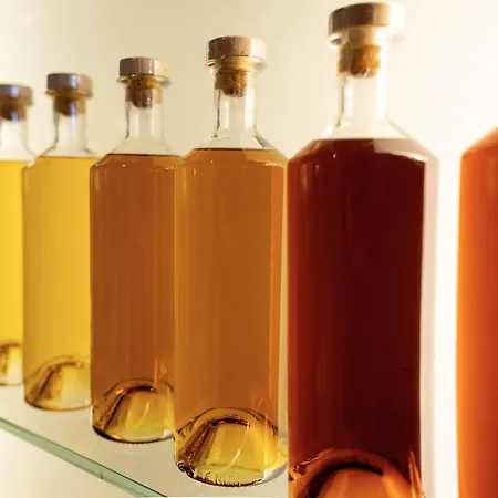 Ibis Styles Cognac Hotel 3*